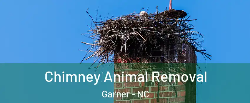 Chimney Animal Removal Garner - NC