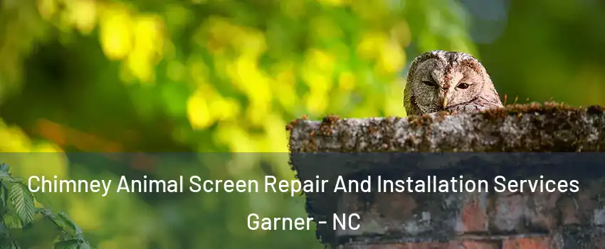  Chimney Animal Screen Repair And Installation Services Garner - NC