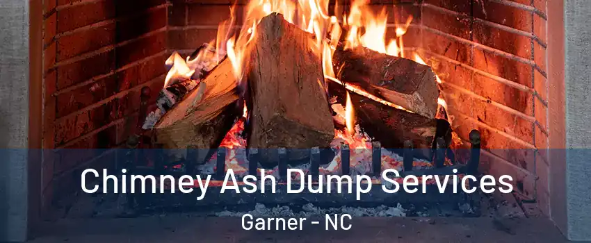  Chimney Ash Dump Services Garner - NC
