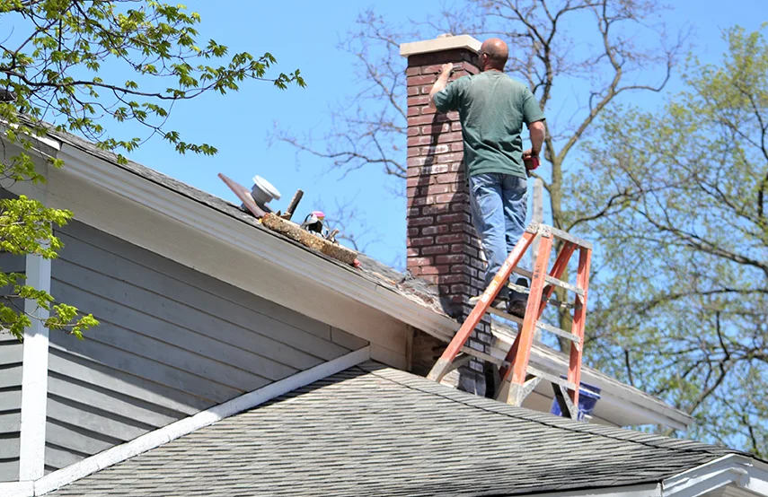 Chimney & Fireplace Inspections Services in Garner, NC