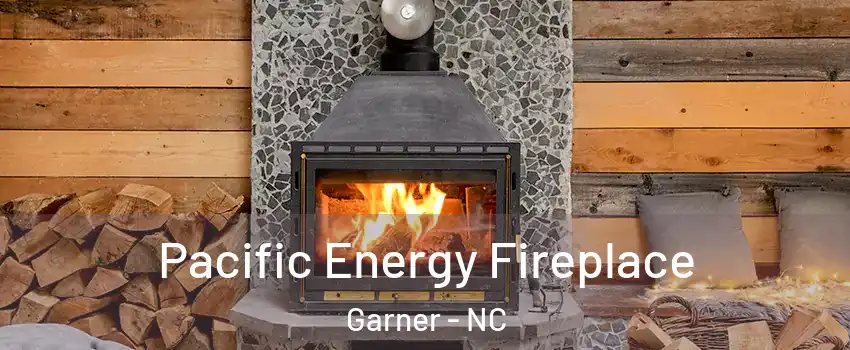  Pacific Energy Fireplace Garner - NC